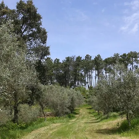Σπίτι διακοπών Orange Olives - Casa Verde