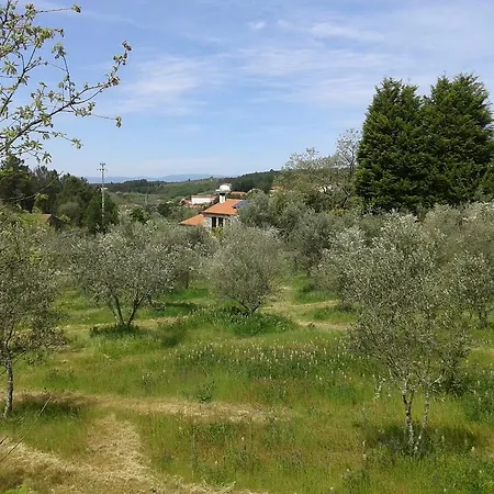 Orange Olives - Casa Verde Σπίτι διακοπών Oliveira do Hospital
